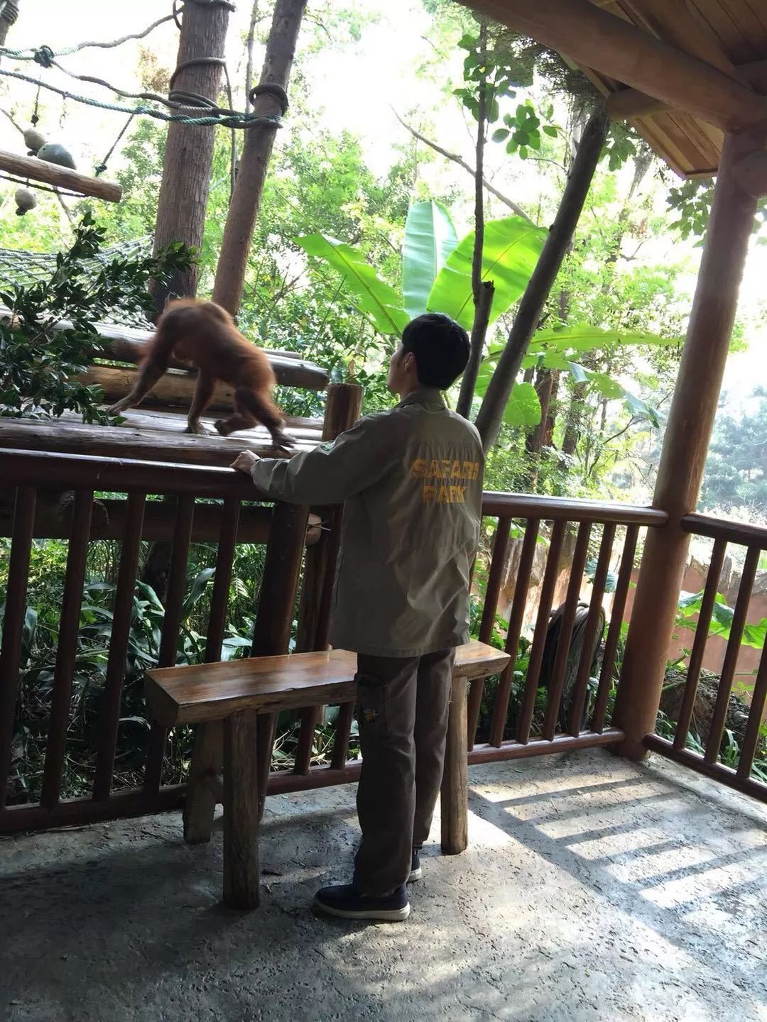 广州长隆动物园亲子游攻略三日游,广州长隆动物园游玩攻略