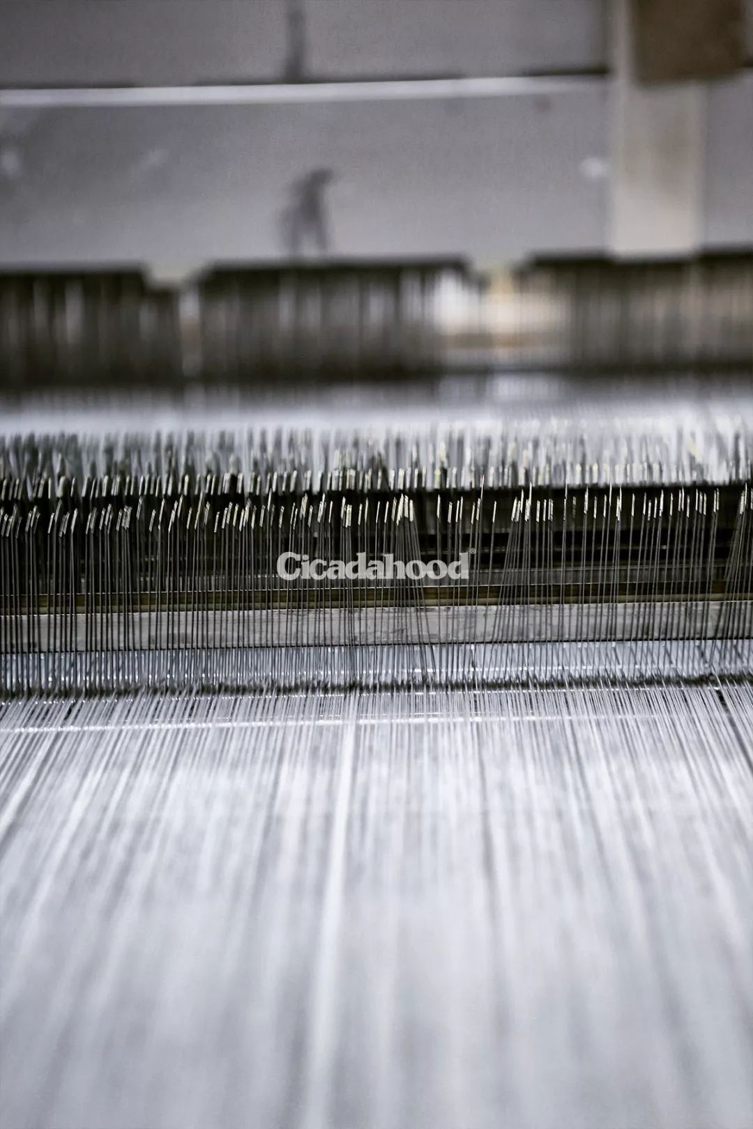 找对象看脸重要吗,恋爱不看脸找对象