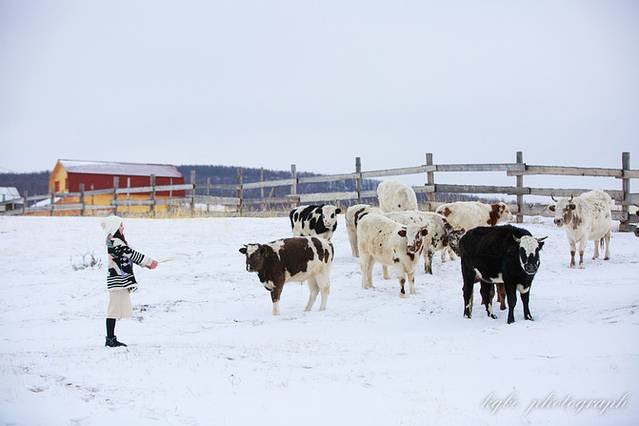贝加尔湖畔流连忘返,贝加尔湖冬天的美景