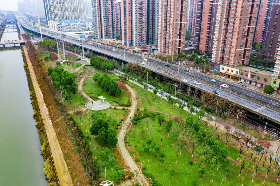 大学之城全力冲刺精雕细琢不留遗憾