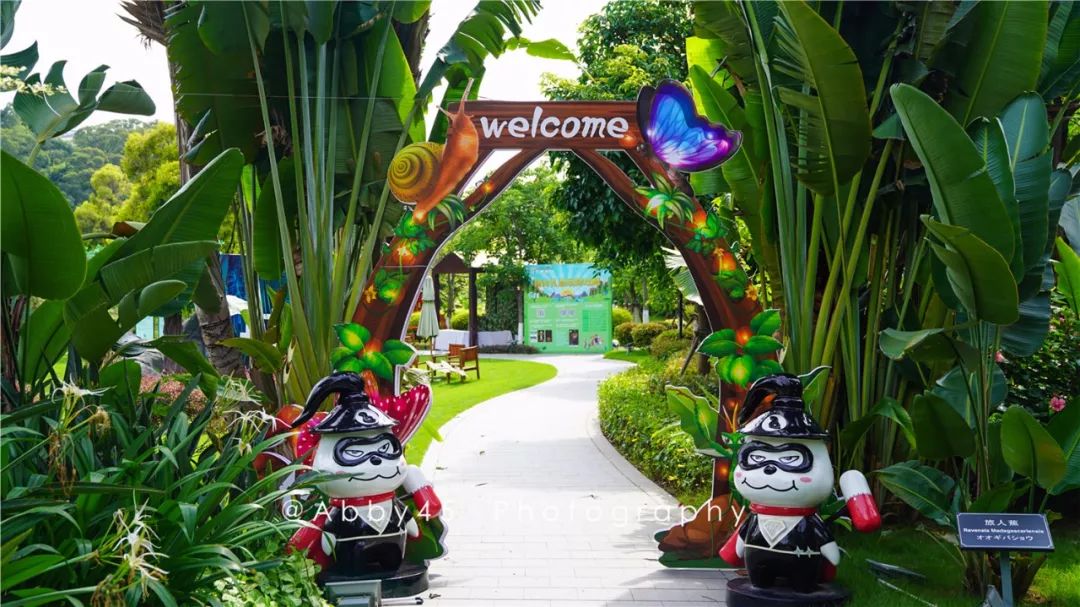 厦门这是个什么神仙酒店,不仅有金砖国宴佛跳墙,还有7万平森林