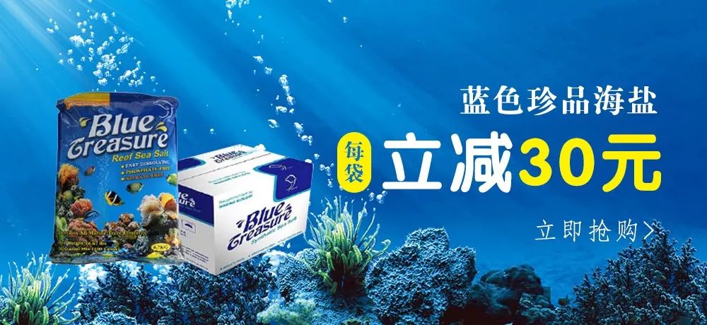 新开缸每天都有鱼死,新开缸鱼一直死