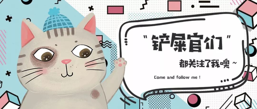 猫被领养后的真实生活,收养一只流浪猫几个月了野性难改