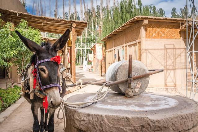 没想到，真有人在大漠建了一座能看星星的边城驿站