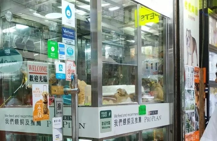 香港值得去的购物街,香港购物必去的街