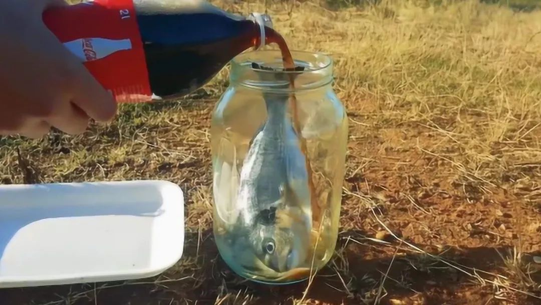 可乐真的会导致骨质疏松吗,可乐腐蚀骨头辟谣