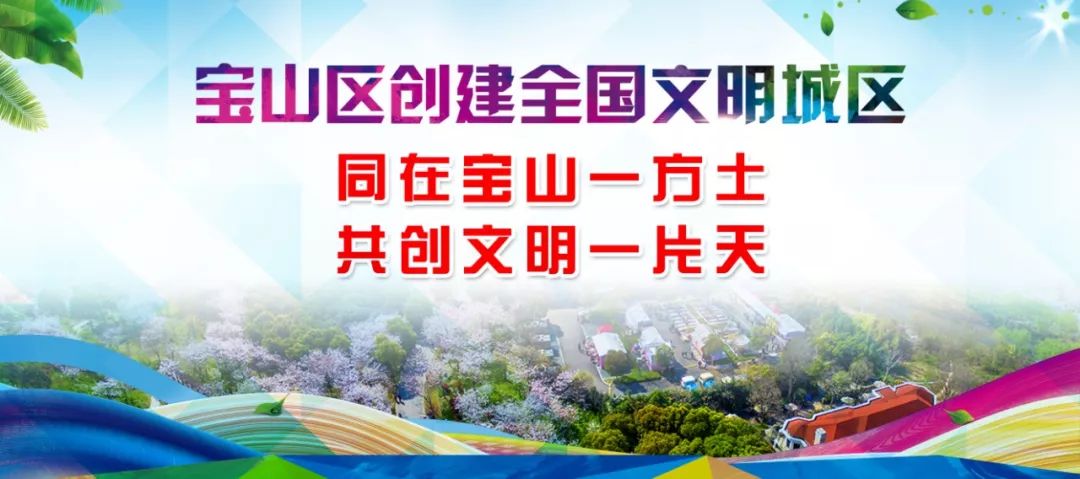 上海宝山区家电维修师傅上门维修,上海宝山区家电维修清洗哪家好