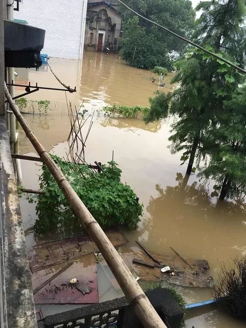 南方的水灾抗洪救灾,全国暴雨抢险救灾工作情况