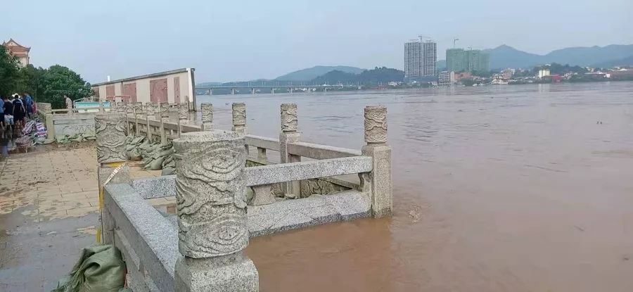 南方的水灾抗洪救灾,全国暴雨抢险救灾工作情况