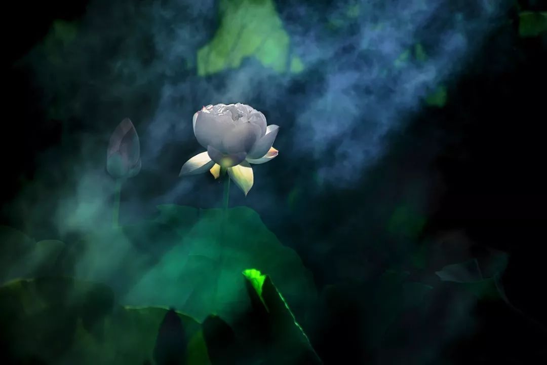 遇见·雄安｜七月错过白洋淀，你可就错过了整个北方的夏天！