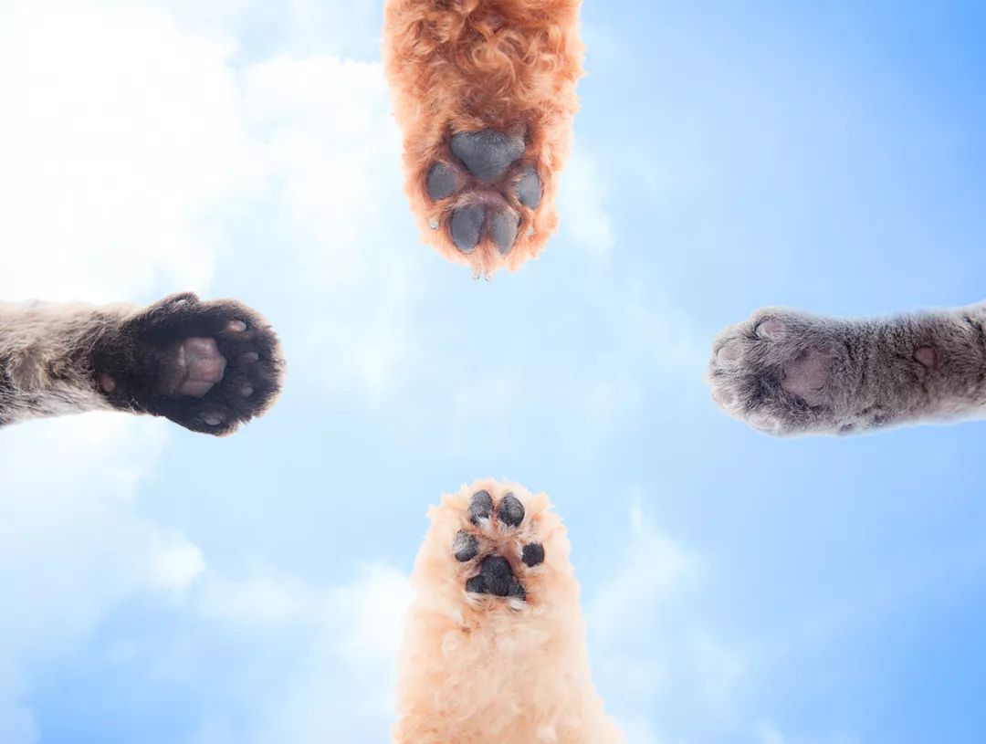 手指上有小水泡是脚气吗,手指上起小水泡就一定是汗疱疹吗