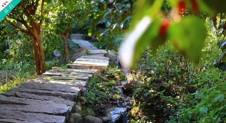 洛阳市养子沟旅游攻略,养子沟一日旅游攻略