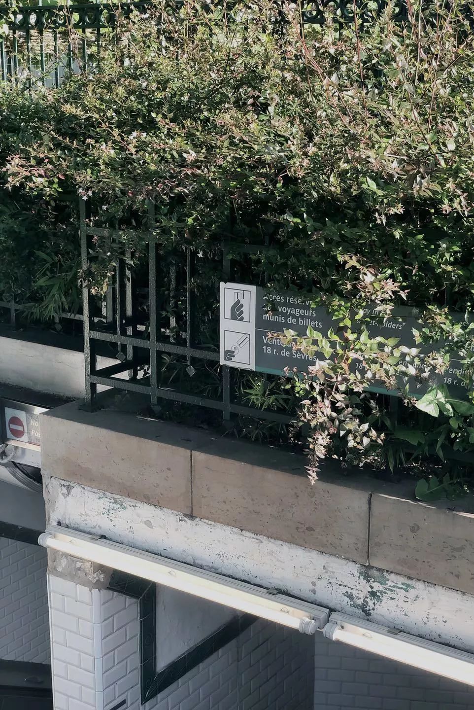 走出成都|幸运的人,才可以在巴黎自由迷失