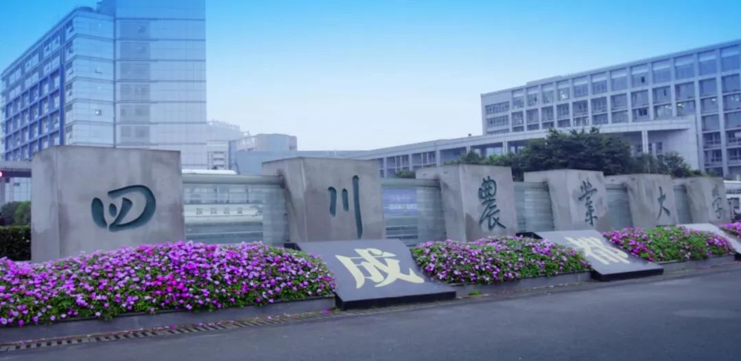 璇绘噦12鏃惰景,鍗佷簩鏃惰景鐪嬫噦浜虹敓