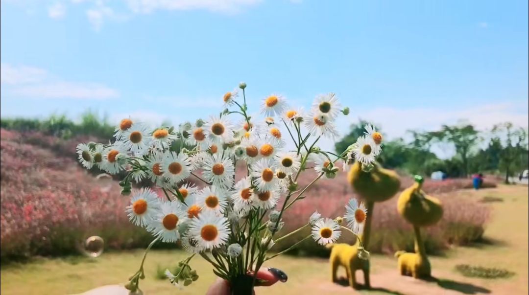 璇绘噦12鏃惰景,鍗佷簩鏃惰景鐪嬫噦浜虹敓