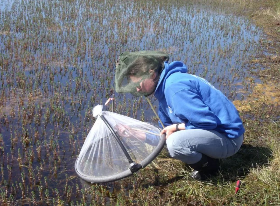 北极蚊子都泛滥了，咱被咬两口就别哭了