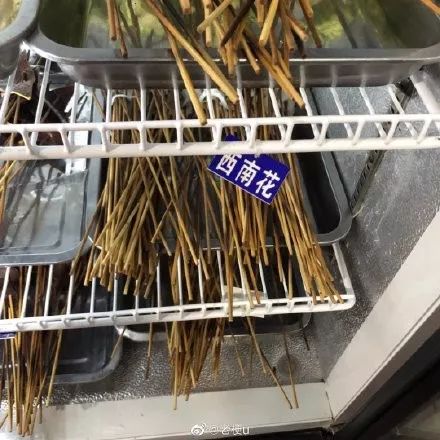 十款让你爆笑的错别字,你们见过哪些奇葩的错别字