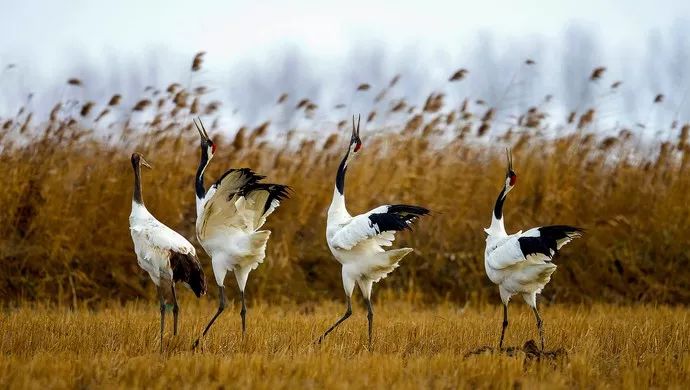 盐城相当于几个上海,上海和盐城有什么渊源