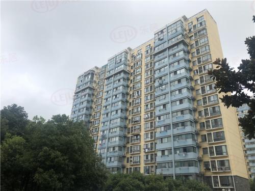 太火！总价百万置业南站，一批小面积二手房受热捧