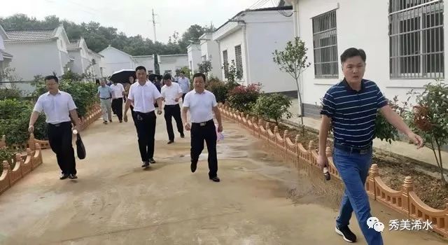 浠水县委书记黄强胤,浠水书记黄强