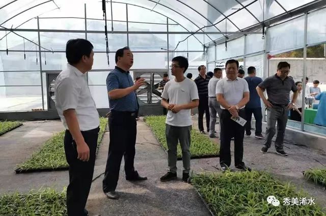 浠水县委书记黄强胤,浠水书记黄强