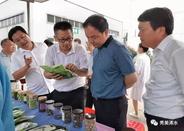 浠水现任县长黄强,红安黄强胤