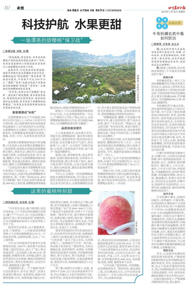 牛有机磷农药中毒的临床表现,牛有机磷中毒后应怎样治疗