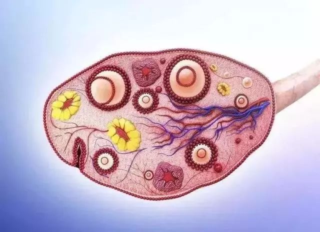 妻子做手术发生大出血,女子和老公吵架导致大出血