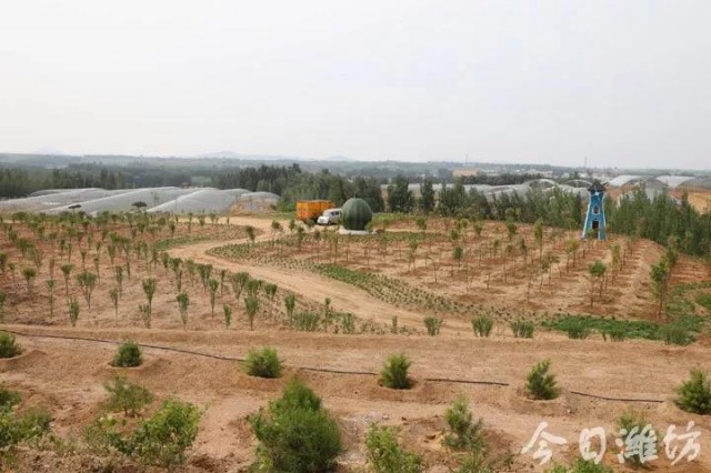 乡村振兴双百典型示范工程,乡村振兴项目四个一批