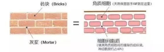 护肤界的八大谎言,护肤谎言
