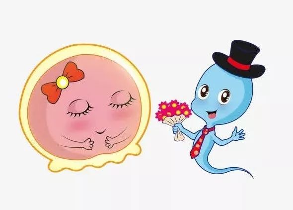 “体外射精”真的不会怀孕吗？