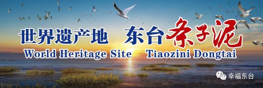 江苏省教育局学费收费标准,东台民办高中学费收费标准