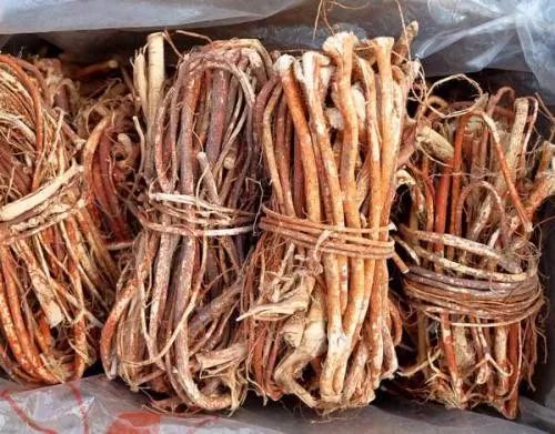 正宗东北人参煲汤,南方人的人参煲汤味道好极了