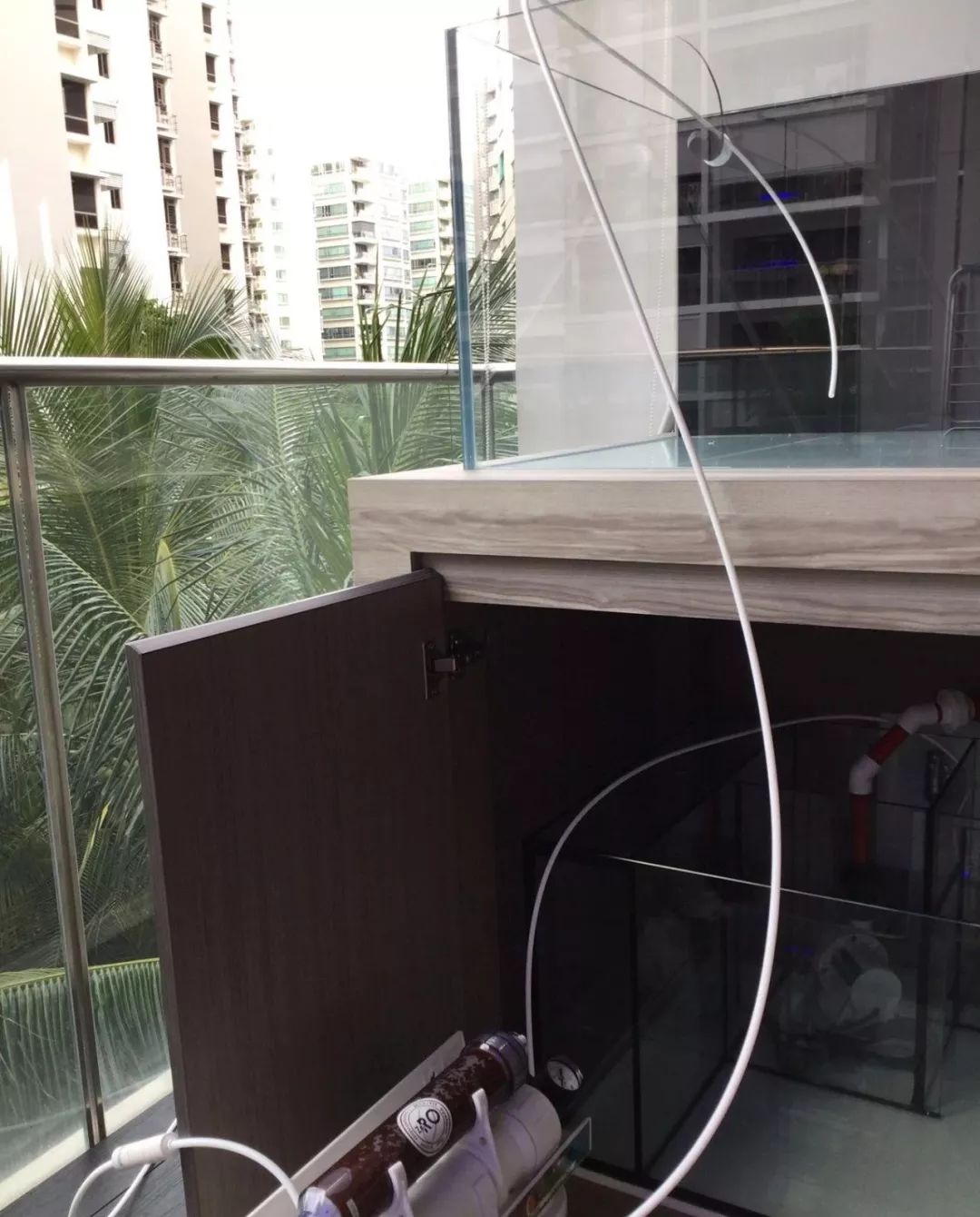 新开缸每天都有鱼死,新开缸鱼一直死