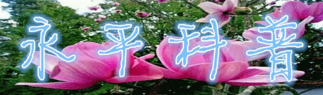 急性中毒急救吃什么,中毒应急常识