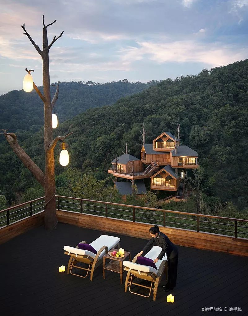 全球最受欢迎树屋酒店｜夜晚坠入大自然的梦乡，清晨在森林的枝桠间醒来