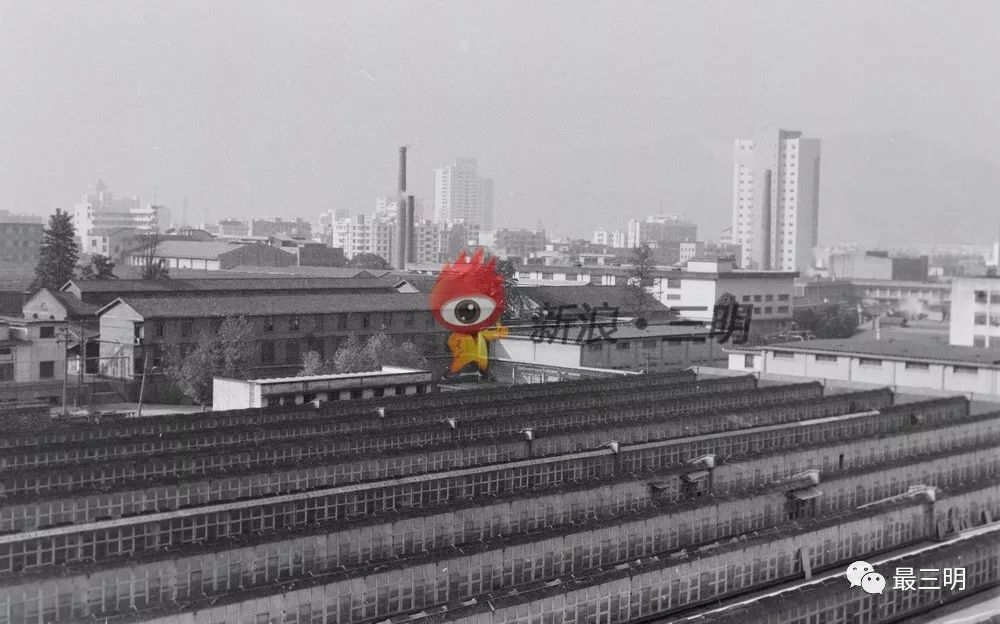 城市故事和回忆,城市故事粤语