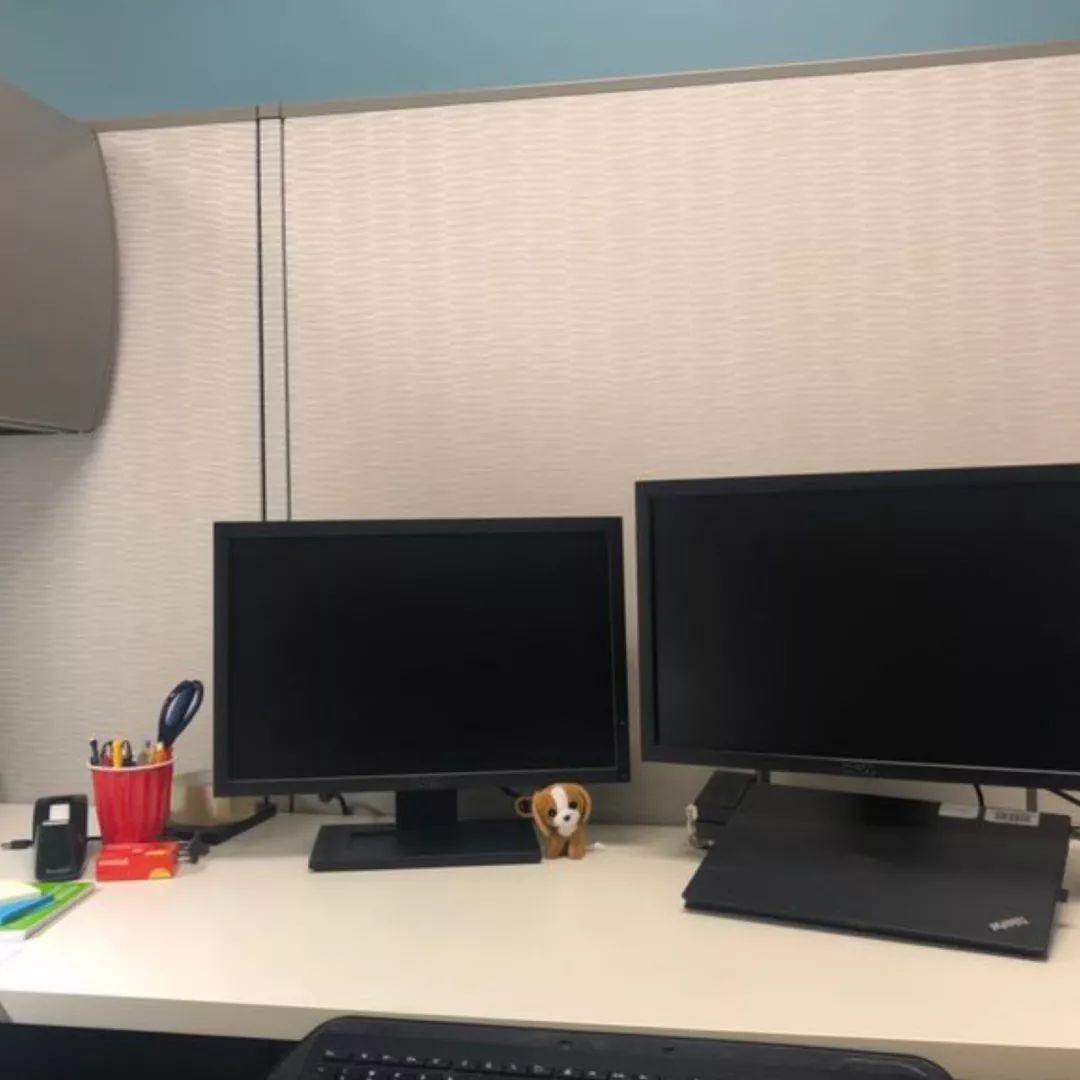 在国外呆不下去想回国怎么办,在国外留学不回家