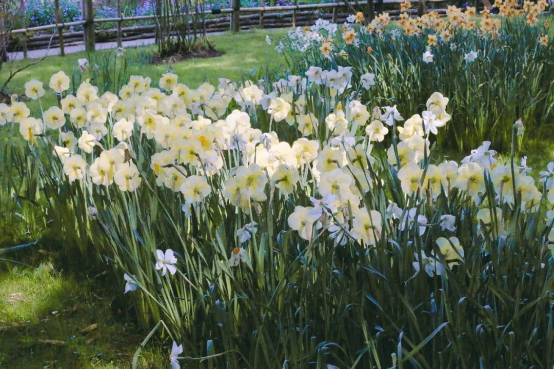 法国人旅游景点排行榜,法国旅游小城市推荐