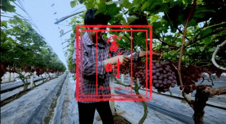 要你好看韩语歌曲mv,要你好看韩语歌曲dj