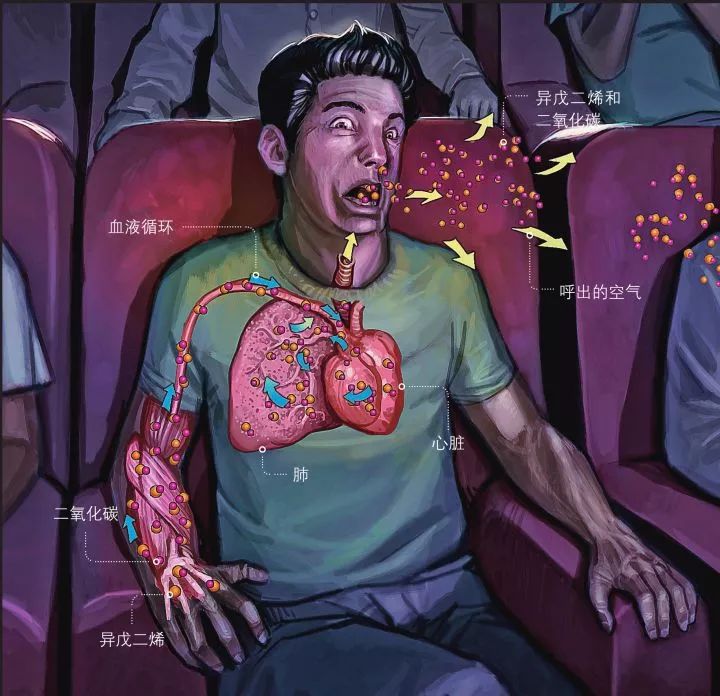 电影院的味道能不能影响票房？丨画外hoWide