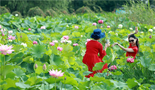 守护一江碧水完整视频,守护好一江碧水工作职责