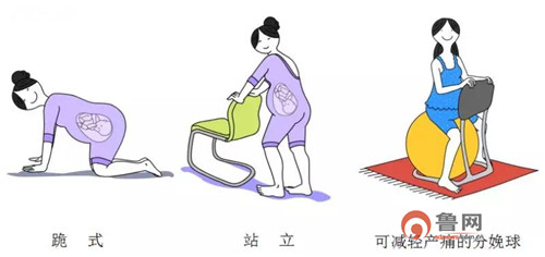 自然分娩助产士,资深专家教你轻松分娩