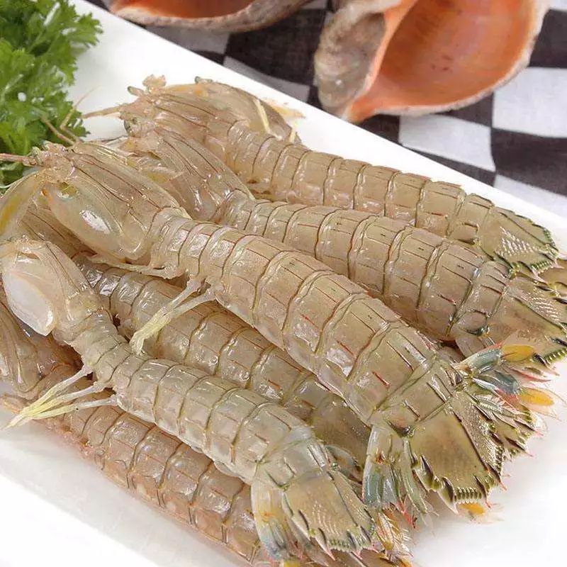 玉林侬,冲鸭!北海8月16日开海,教你在哪里买海鲜最新鲜,最实惠~