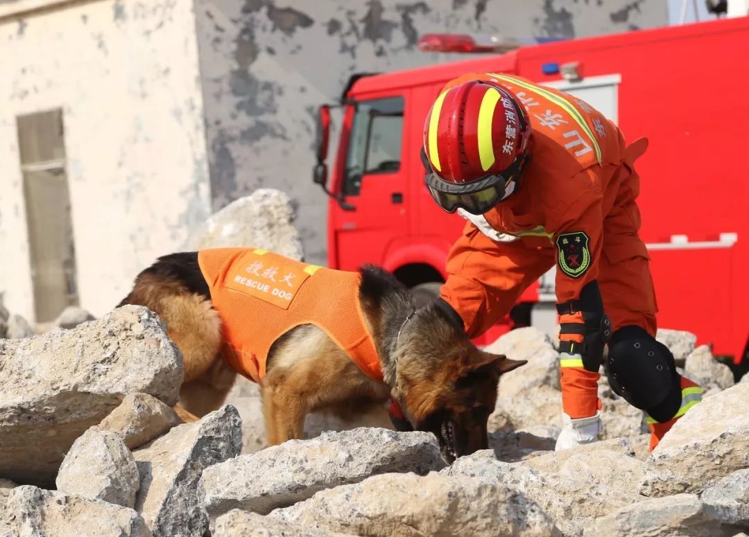 不忘初心警魂牢记使命,不忘初心牢记使命公益救援