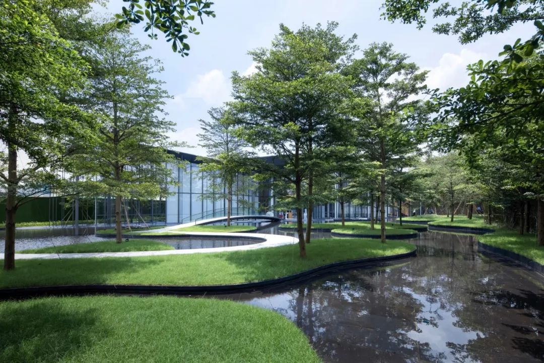 石语慕松林，水苑倾闻荫|广州保利·花城纪