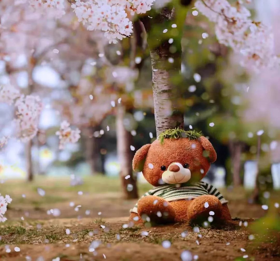 潍坊月亮湾,潍坊漂亮夜景