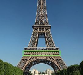 眼睛会发光的小虫,眼睛里有小虫子爬的感觉是咋回事