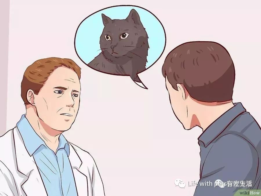 如何捕捉泥鳅,如何捕捉苍蝇