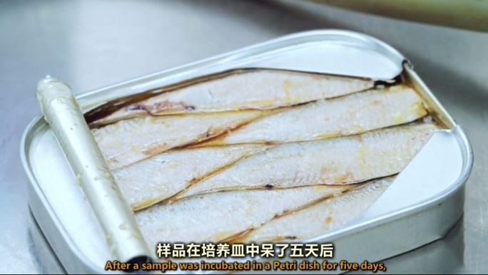 上海 | 想花1折的钱，买到进口的精致生活？跟着上海阿姨走就对了